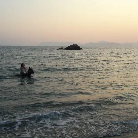 Holiday Ali 펜션 *